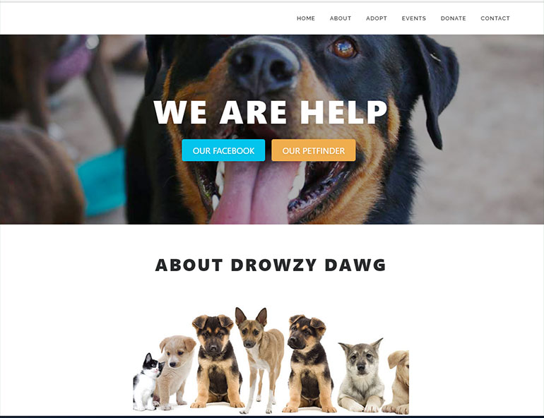 Screenshot of Drowzy Dawg website